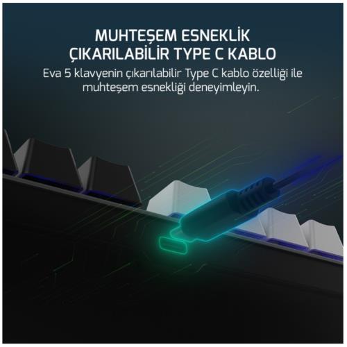 GAMEPOWER EVA 5 BLUE SWITCH 88 MEKANİK KLAVYE RBW